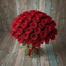 Букет 55 Красных роз Фридом #REPLACE_PRED# Раменском