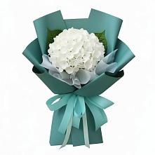 Букет цветов из:  Гортензия #REPLACE_PRED# Раменском